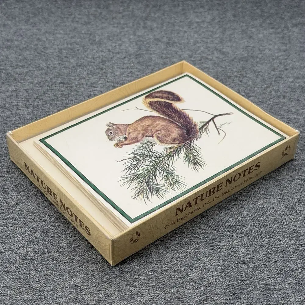 1970s Nature Notes Squirrel Boxed Stationery Set 7 Cards 7 Envelopes Raw Edge